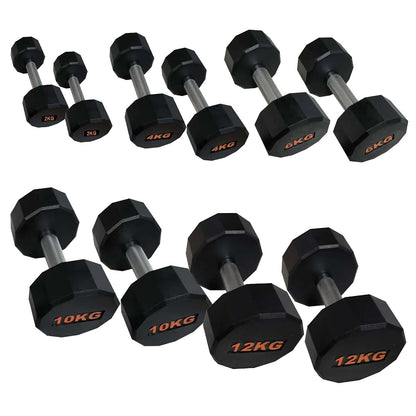 Anti-Roll Hex Dumbbells, Durable Rubber Finish & Knurled Handles – Strength & Conditioning Tools for Home Gym Fitness