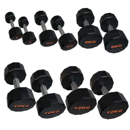Anti-Roll Hex Dumbbells, Durable Rubber Finish & Knurled Handles – Strength & Conditioning Tools for Home Gym Fitness